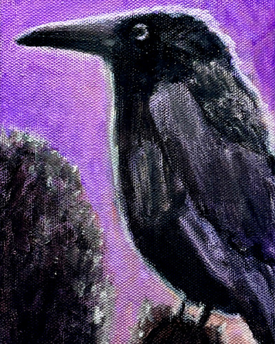 Raven black bird wildlife art - raven,