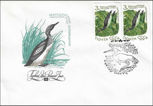 Black throated loon bird gavia - bird,