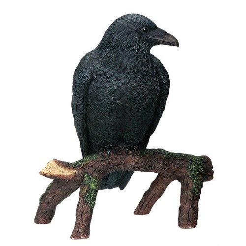 Statuina corvo nero uccellino