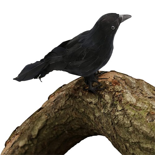 Corvo nero peluche uccellino