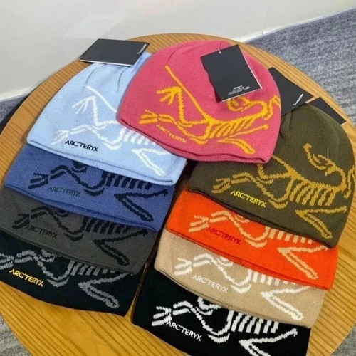 Nuovo cappello arcteryx bird - cappello,