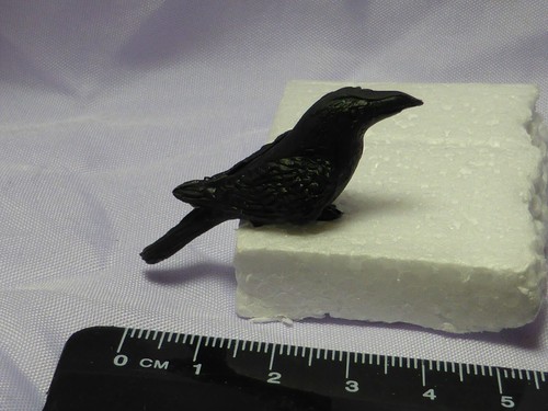 Argilla uccellino nero grande