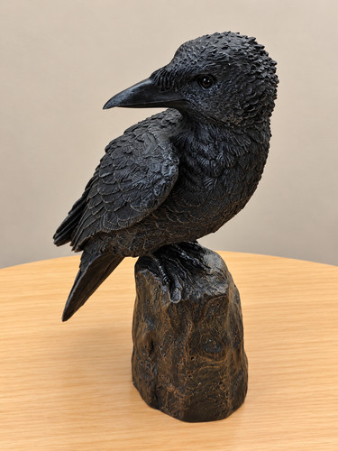 Corvo nero ceppo albero - corvo, su