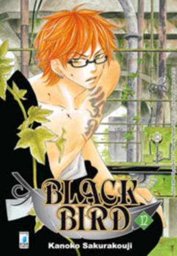 Black bird amici - black,