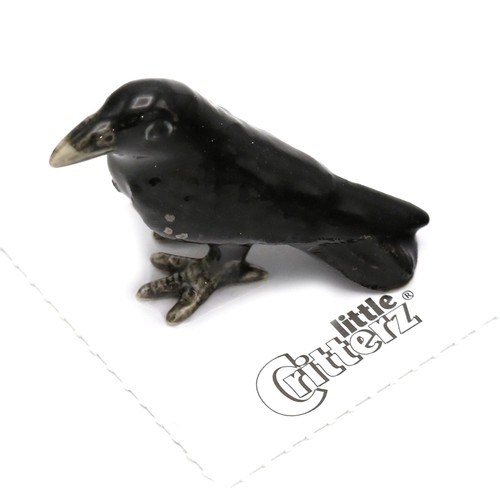 Little critterz black - critterz,