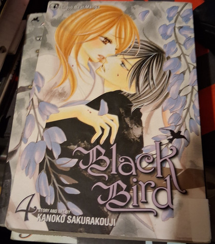 Black bird vol paperback - bird,, 4