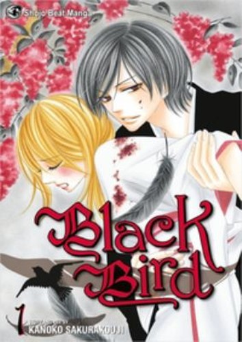 Black bird vol - black, paperback