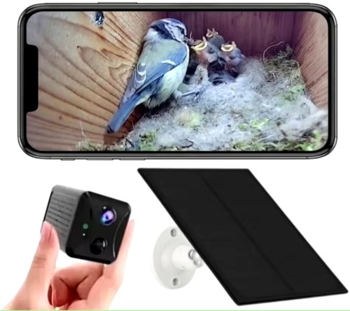 Telecamera bird box - telecamera, wifi
