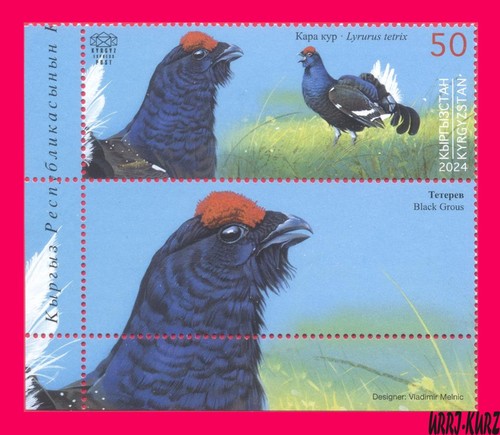 Kirghizistan 2024 2025 fauna - kirghizistan,